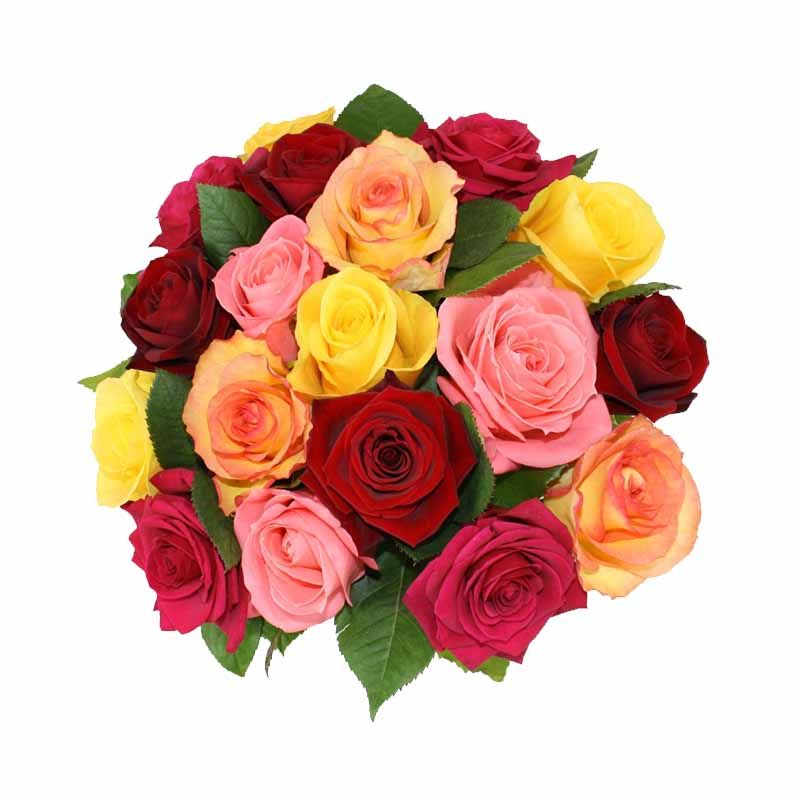 Bunch of  25 Mixed Roses